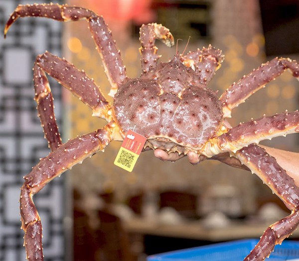 Giá Gián Cua King Crab Alaska Bao Nhiêu Tiền 1kg tại TpHCM