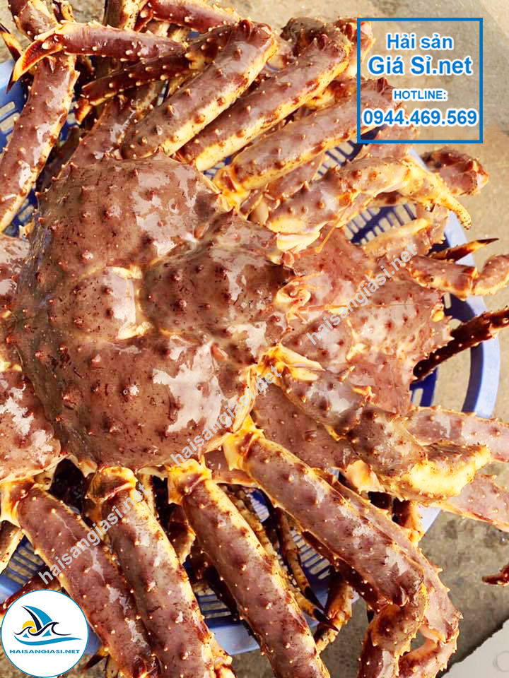 Cua King Crab Tươi Sống Giao Hàng Tại Thủ Dầu Một - Bình Dương 