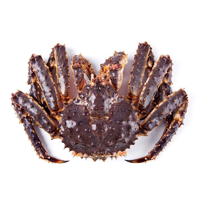 Nơi Cung Cấp Cua King Crab Tươi Ngon Với Giá Cả Hợp Lý Nhất Bình Dương