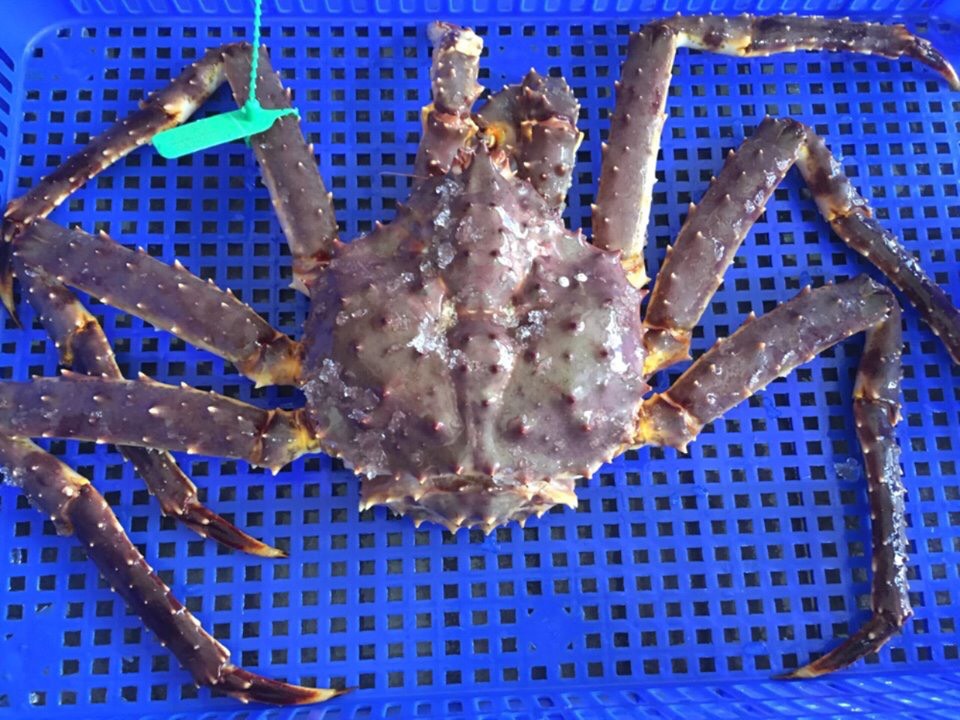 Địa Chỉ Nào Tại Hồ Chí Minh Bán Cua King Crab Giá Rẻ Mà Chất Lượng Nhất ?
